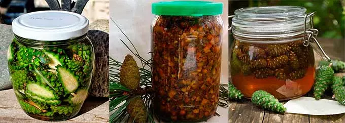 Действенные настойки настойки из шишек