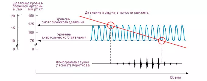 тоны короткова