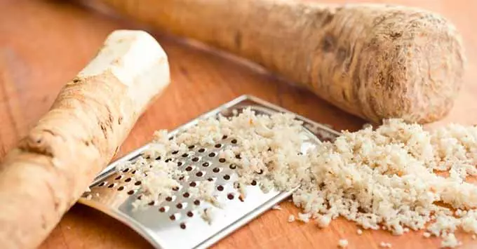 Применение в кулинарии тертый хрен