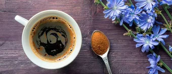 Чем полезен напиток из цикория напиток цикория