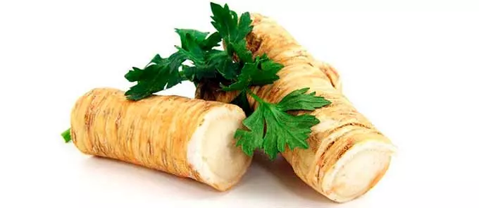 корень хрена