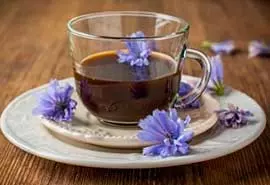 отвар цикория