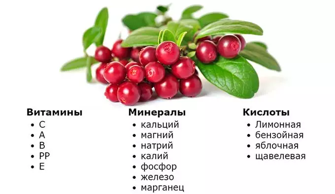 состав брусники