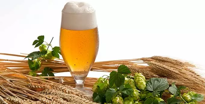 ингредиенты для пива