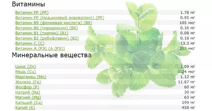 Состав и лечебные свойства растения состав мелиссы