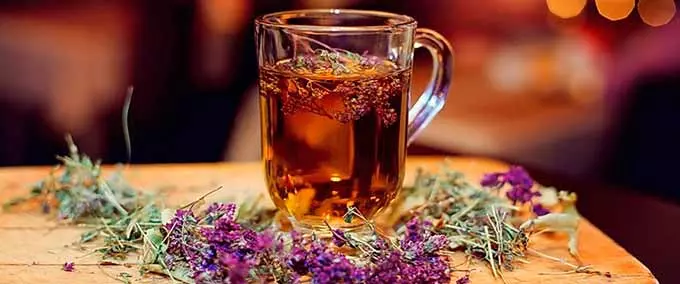 чай с душицей