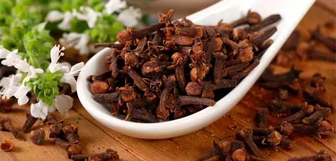 пряность гвоздика