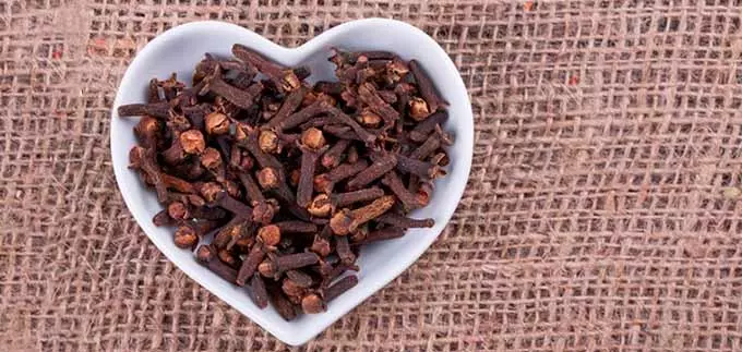 гвоздика для сердца