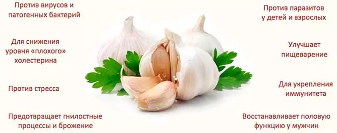 Полезные качества чесночно-молочной смеси свойства чеснока