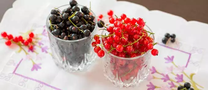 красная и белая смородина