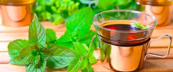 мелиссовый чай