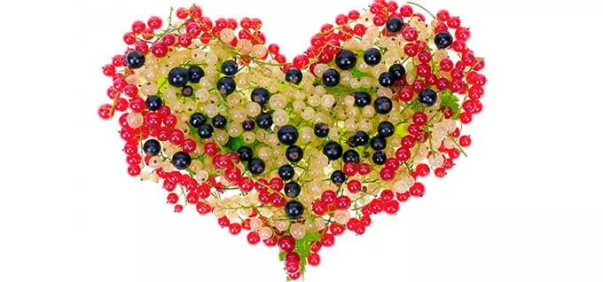 сердце смородины