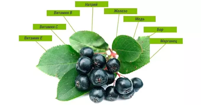 Витаминный состав растения состав аронии