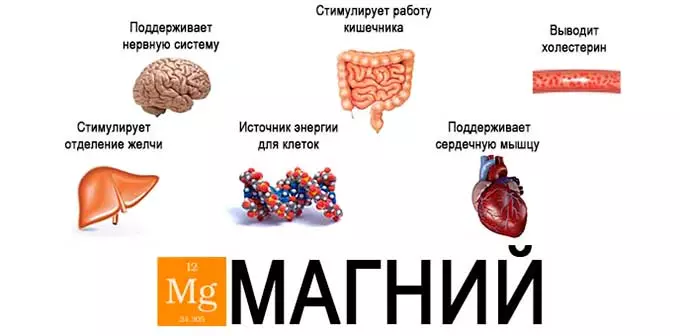 Почему минерал так необходим нашему организму? польза магния