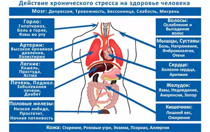 Воздействие стрессовых ситуаций на показатель кровяного давления влияние стресса на организм