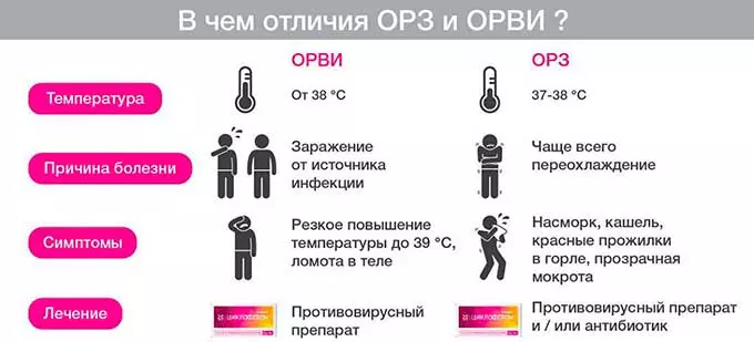 Как ОРЗ и ОРВИ влияют на организм человека отличия орз и орви