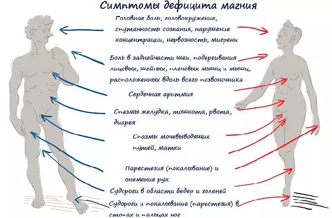 Какие признаки указывают на дефицит магния признаки недостатка магния