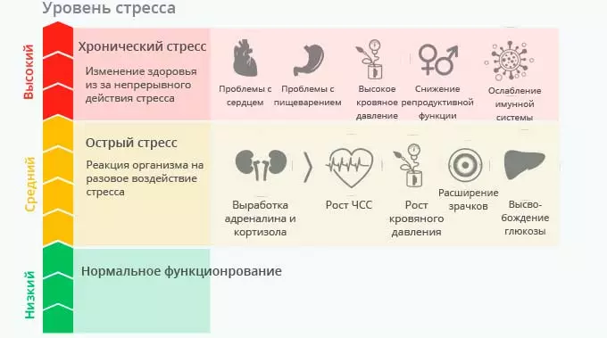 Этапы развития болезни уровень стресса
