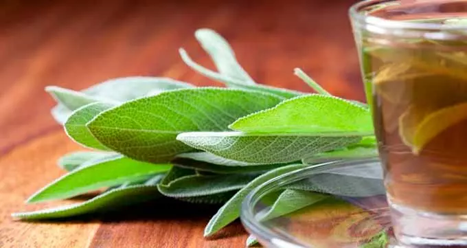 шалфейный чай