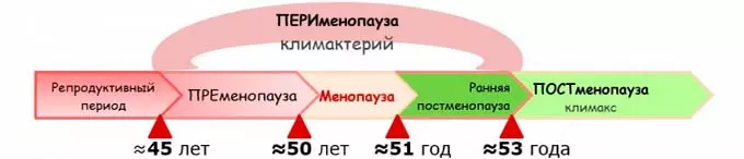 этапы климактерия