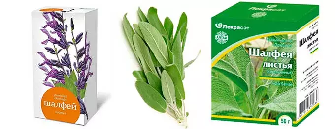 упаковка травы шалфея