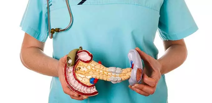 поджелудочная железа