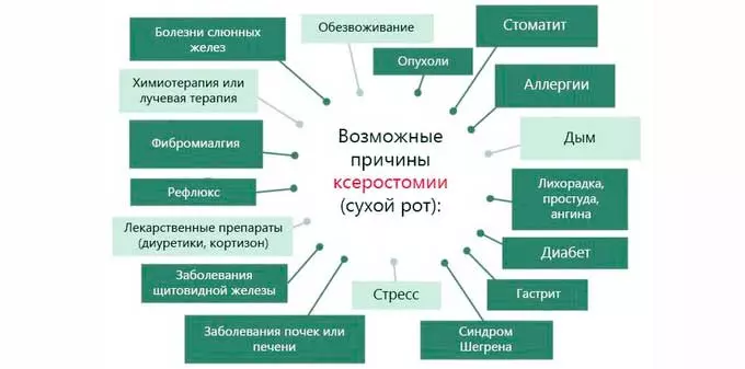 причины сухости во рту