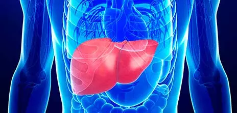 Влияние заболеваний печени на артериальное давление и проявление портальной гипертонии Влияние заболеваний печени на артериальное давление и проявление портальной гипертонии