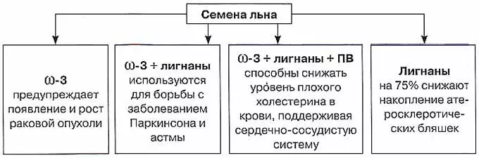 польза семян льна