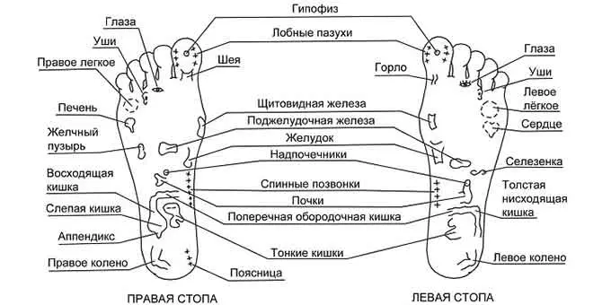 активные точки на ногах