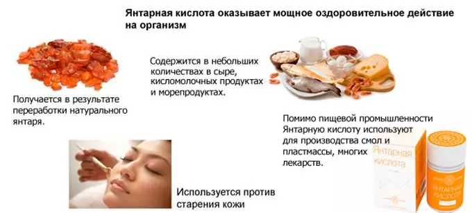Действие янтарного вещества на организм польза янтарки