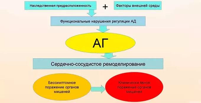 Основные причины колебаний артериального показателя причины гипертонии