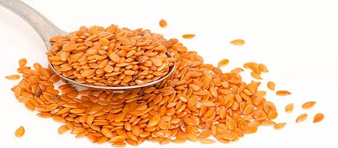 льняные семечки