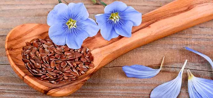 семена льна