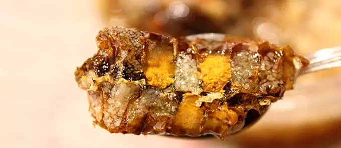 прополис в сотах