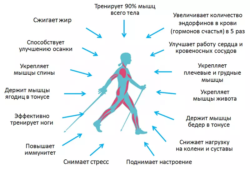 Польза прогулок для организма польза пеших прогулок