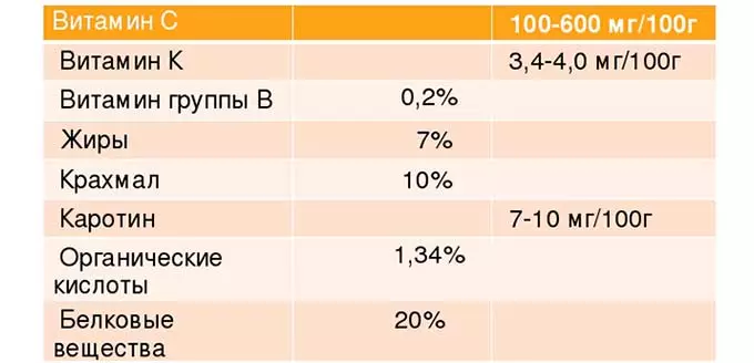 Химический состав листьев крапивы