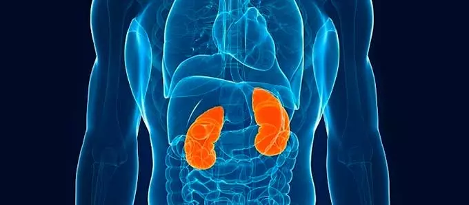 Противопоказания к приему Кандесартана Патологии почек