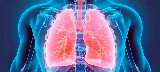 Заболевания легких