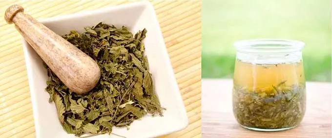 Отвар из сушеной крапивы