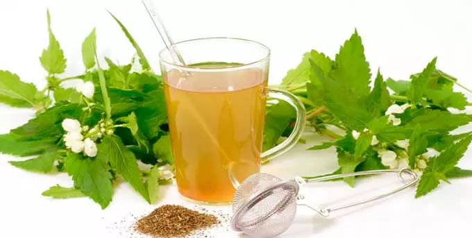 Крапивный чай