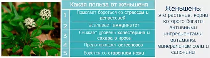 Какая польза от женьшеня