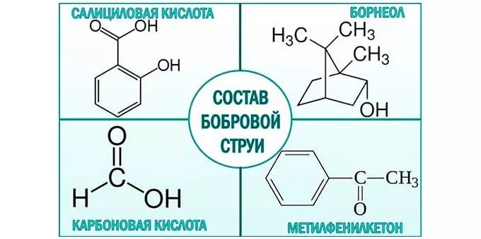 Состав бобровой струи