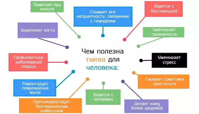Лечебные возможности оранжевого плода Чем полезна тыква для организма