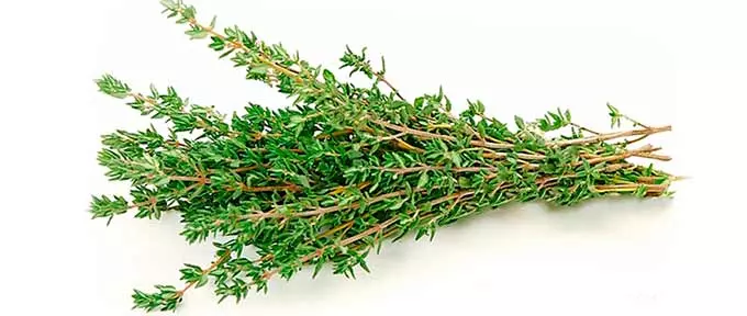 Пучок травы чабреца