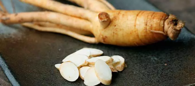 Корень женьшеня