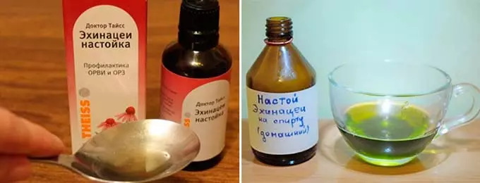 Домашняя и аптечная настойки эхинацеи