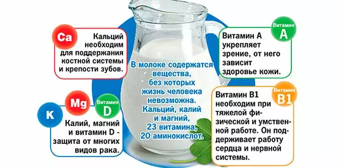 Полезные свойства молока