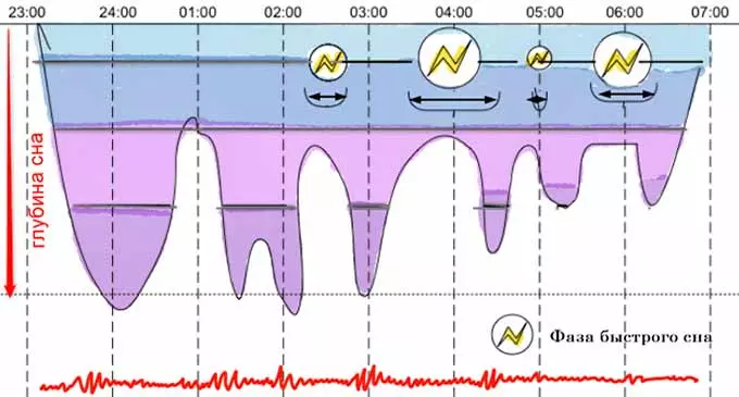 График фаз ночного сна
