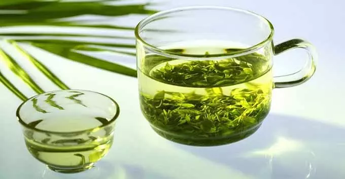 Повышает ли давление зеленый чай и можно ли его пить гипертоникам и гипотоникам Зеленый чай в прозрачной чашке